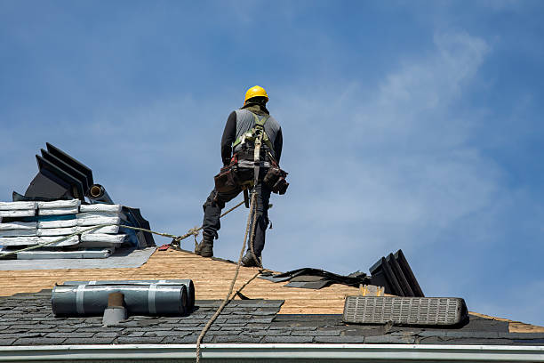 Professional Roof Replacement technician working in Hurlock, MD